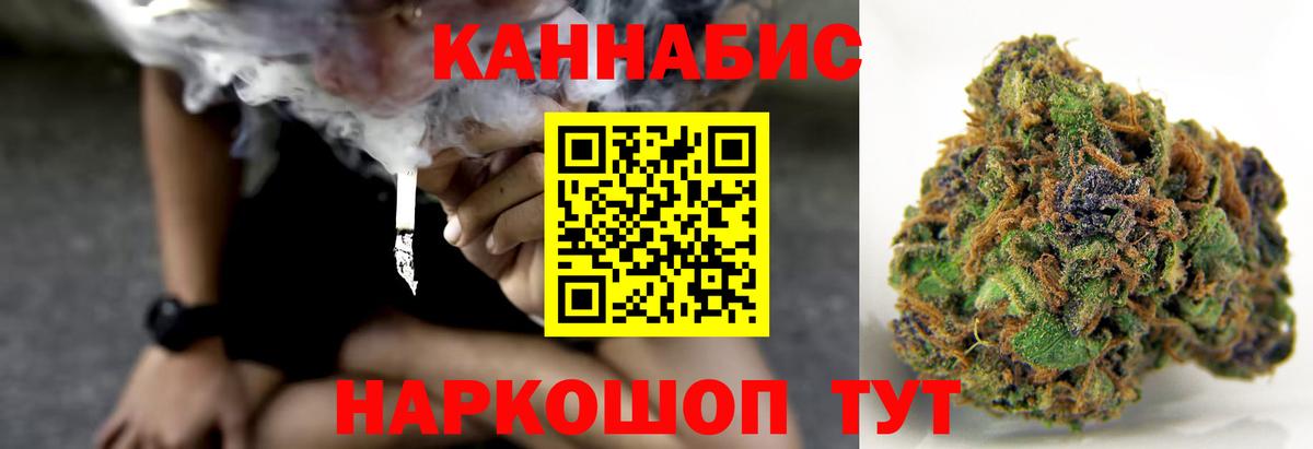 Псилоцибиновые грибы Черняховск